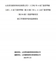 山東祥東新材料科技有限公司1.2萬噸/年6-叔丁基鄰甲(60K)、4-叔丁基鄰甲酚(偏 24 酚)和 4，6-二叔丁基鄰甲酚(偏 246 酚)烷基甲酚項目竣工環(huán)境保護驗收監(jiān)測報告